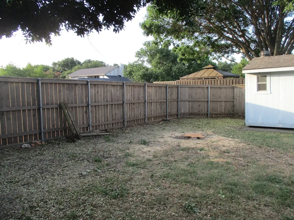 Cleared yard after professional tree removal in Bentonville