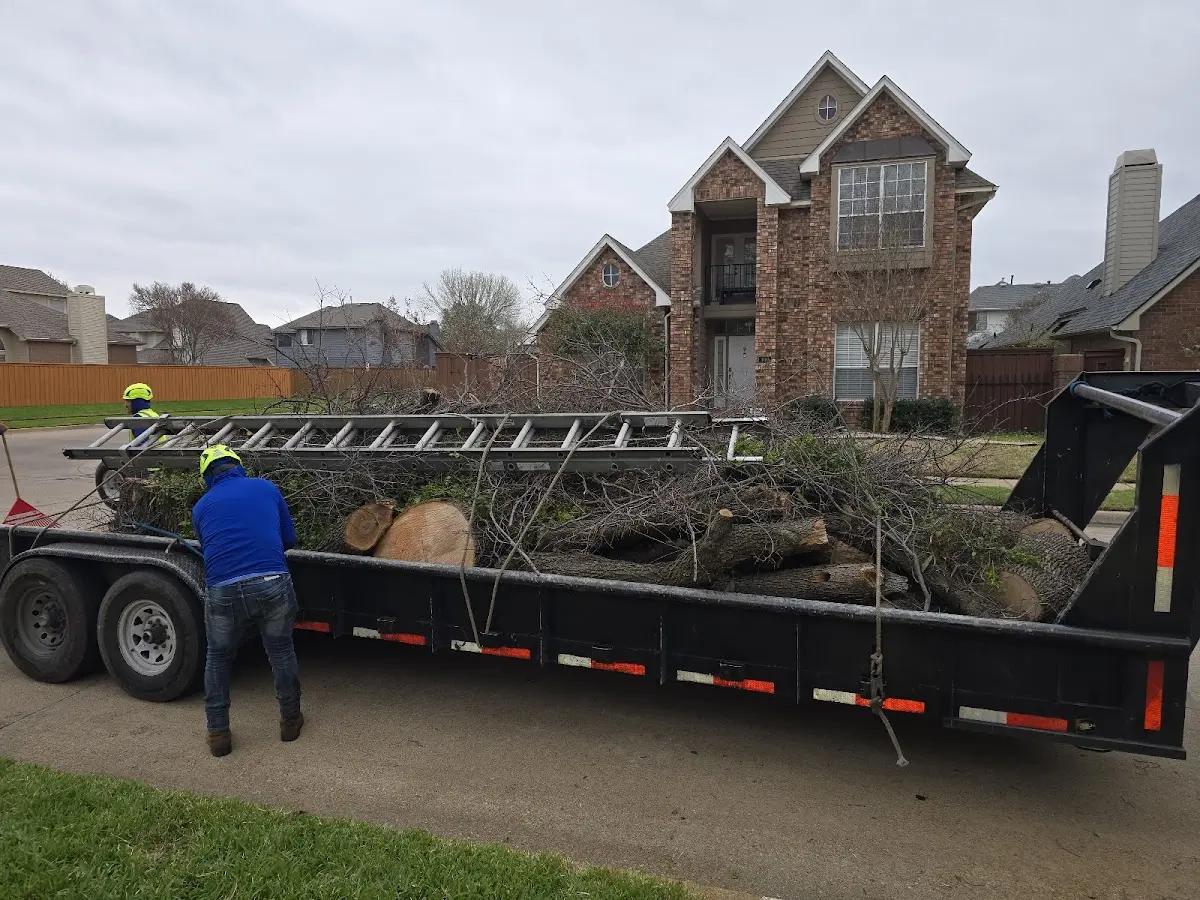 Expert Tree Removal with proper safety equipment in Bentonville